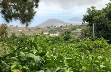 Los Viejitos en Firgas - Foto 81