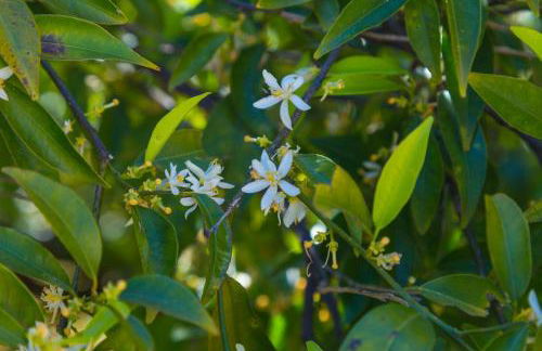 Matisé Home Relax - Foto 25