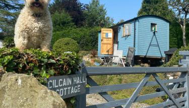 Shepherds Hut in the Hills - Nr. Mold - Foto 3