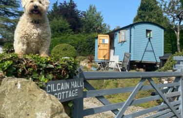 Shepherds Hut in the Hills - Nr. Mold - Foto 2