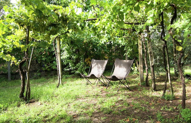 Holiday Home in Cortona - Foto 27