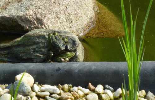 Ferienwohnung in der "Perle der Lausitz" - Foto 16