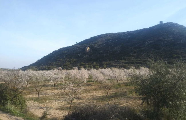 Espai Natural La Comanglora - Foto 39