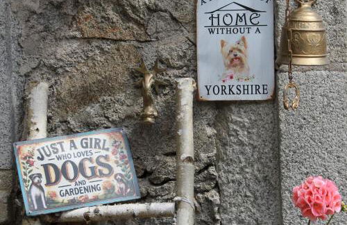 Studio Malou, cuisine, salle d'eau, terrasse amenagée - Foto 26