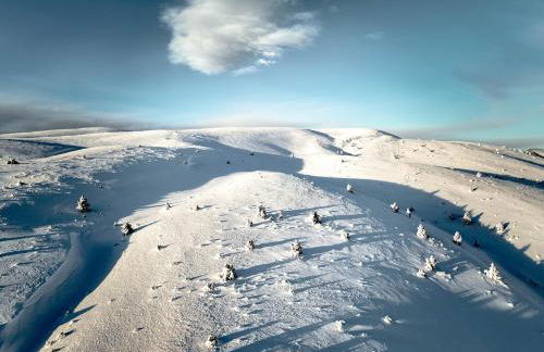 Apartaments Piteus Casa Dionís - Foto 87