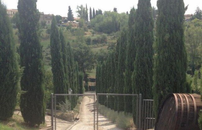 Poggiluglio - Foto 49