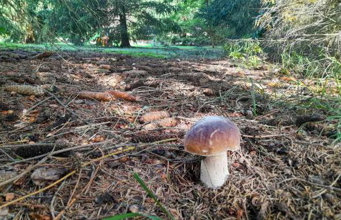 Awesome Home In Rybakowo With Wifi - Foto 33