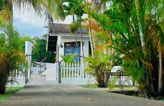 Reggae Legends Estate - Foto 44