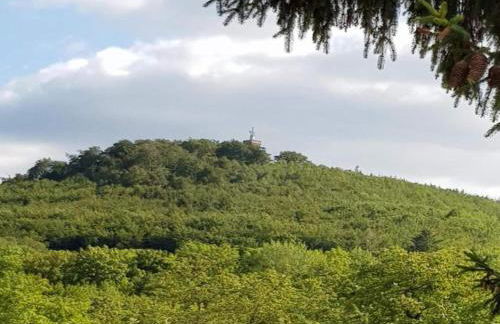 Comfort Near Harz Trails - Foto 73