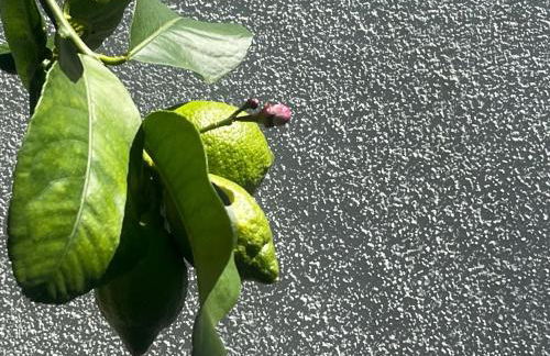 Alojamento DOZE - Aldeia do Telheiro - Foto 36