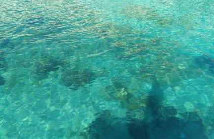 La terrazza sul castello - Foto 64