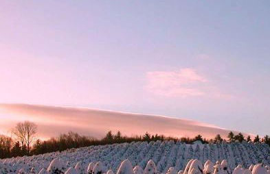 Experience the Rocks Estate like never before with a stay at the Gardeners Cottage! - Foto 32