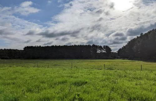 Feriendorf am Weinberg, Dobbrikow - Foto 15