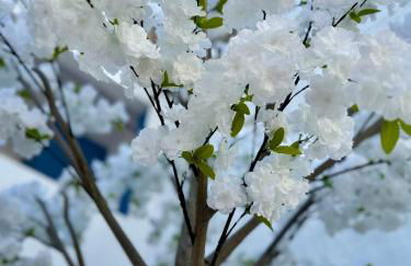 Oasis de Confort Urbano 2 Plantas - Foto 36