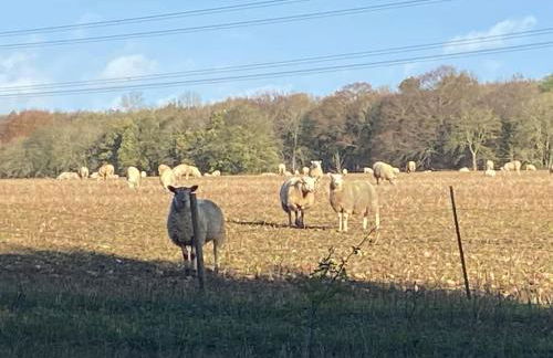 Beautiful Rural Holiday Chalet - Foto 48