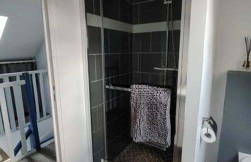 Terrasse du Mont St Michel, vue imprenable, appart cosy proche Mont St Michel - Foto 33