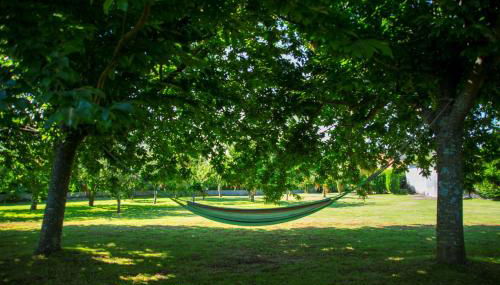 CASA BELAI - Photo 4