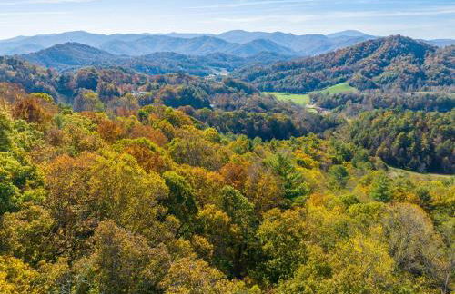 Modern Mountain Retreat~120ac~ Pond~Boat~Trails~FP - Foto 47