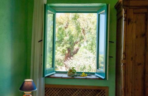 Terre Di Himera - Foto 103