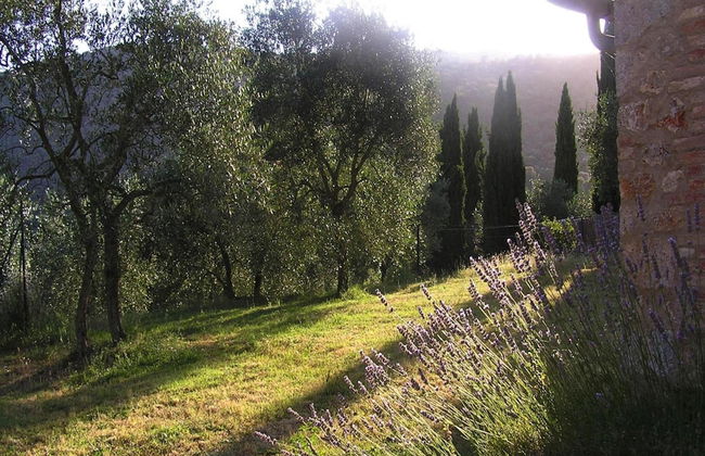 Charming House in Tuscany With Pool & Views - Foto 23