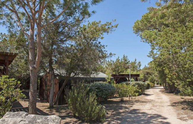 Residence Moby Dick - Foto 31