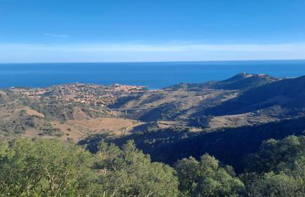 O Petit Bonheur - Photo 22