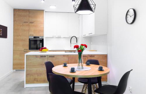 BoleslaviaApartments - Apartament Arte 5, parking free, EV, air conditioning - Foto 6