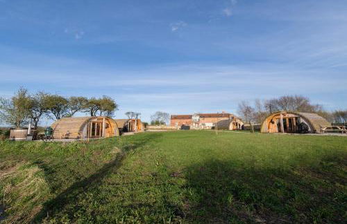 Glamping Pod 1 Comfort - Foto 13