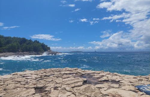 NewHome Nicole Premantura - Foto 30