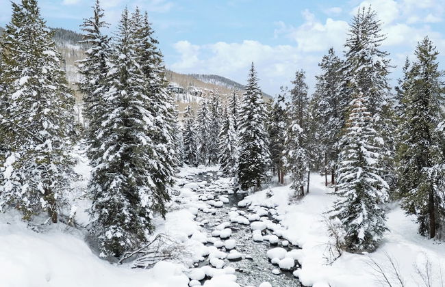 Eagle Point Resort - Foto 68