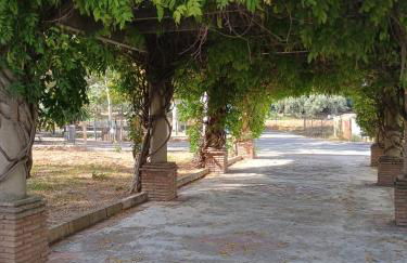 Casa Andalucía - Foto 17