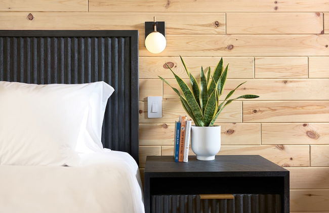 The Rex Hotel - Foto 8