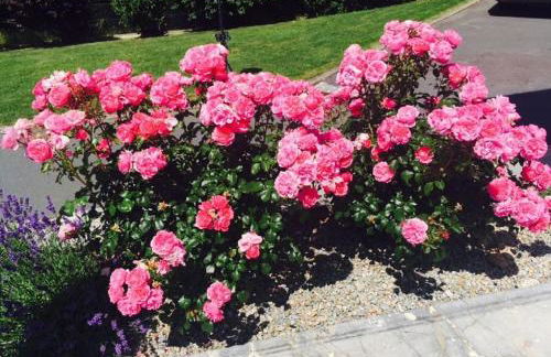 View & Garden Villa Schauenstein - Foto 29