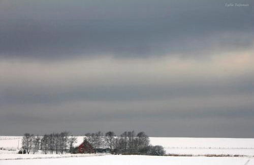 Haus Horizont - Foto 44