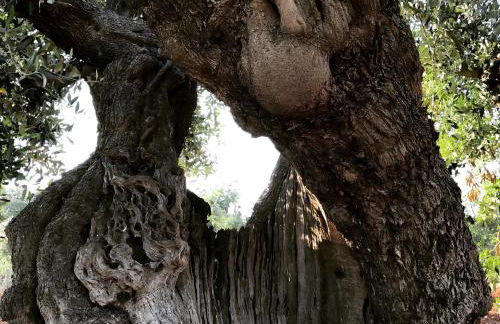 Casa Valerio - Foto 59