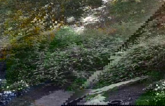 Billund Farm Holiday - Photo 31