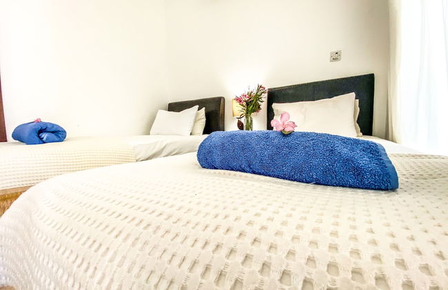 Sea Cliff Villa, 4 Beds, Sleeps 2- 8, Free Wifi, - Foto 6