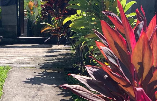 Paraiso Cottage Ubud - Foto 58