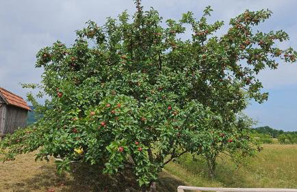 Annie's apartment - Foto 26