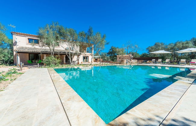 Can Madis in Costitx - Photo 4