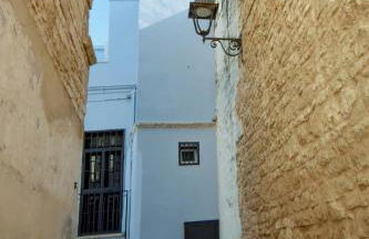 Rosa azzurra - Foto 12