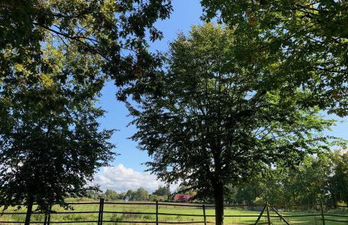 Wohnung m. eigener Terrasse u. Zugang, Hamburg-nah - Foto 16