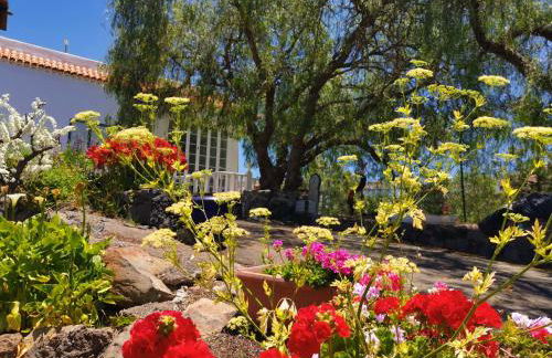 CASA rural DOLORES en Adeje - Foto 80