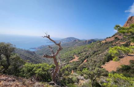 Vue exceptionnelle sur la mer et le Cap Estérel - Foto 50