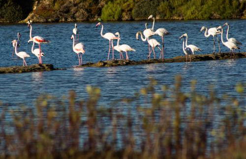 Espargosa Monte de Baixo & Art - Foto 35