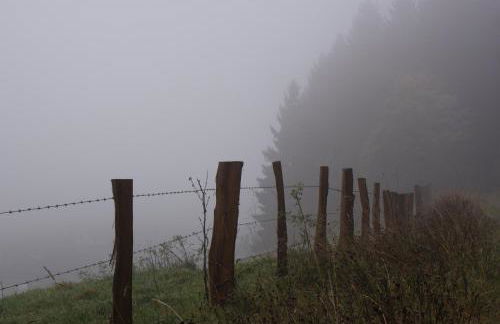 Ferienwohnung Haus Kloosterman - Photo 18
