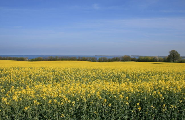 Moderne Ferienwohnung in Kluetz in Strandnahe - Foto 59