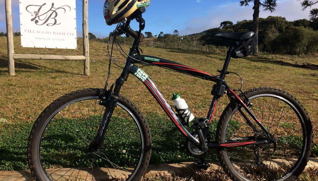 Villaggio Bassetti Vineyards Bike Tour - Photo 4