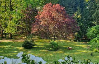 Szczodre Sybillenort blisko Wrocławia - Photo 23