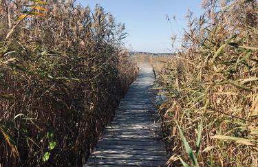 Słońce i Woda - 2 domki nad brzegiem jeziora Śniardwy z własnym pomostem, zejściem do wody i przecudnym widokiem na jezioro - Foto 24